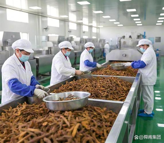 在中药制剂领域,黄精提取物可用于制备各种中药片剂,胶囊,口服液等;在